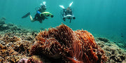 manta-sea-scooter-features4-CAPTURE-YOUR-MOMENTS