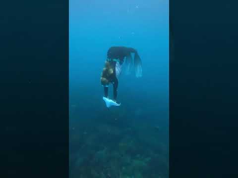 Manta Pro 40M Underwater Scooter | 252Wh Battery, 3 Speeds & GoPro Mount for Diving